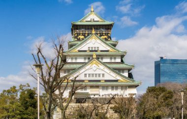 Güzel mimari osaka Kalesi Japonya ağacıyla