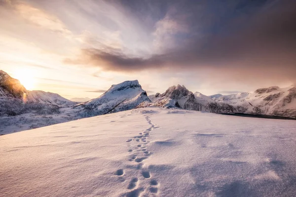 Paisaje Montañas Nieve Gama Con Huella Nevado Amanecer Por Mañana —  Fotos de Stock