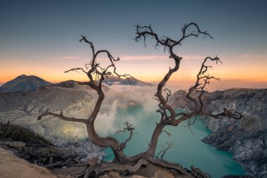 Turkuaz Gölü ile aktif yanardağ krater ağaçta şafakta kurumuş. Kawah Ijen'de, Banyuwangi, Endonezya