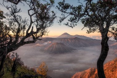 Mount volcano an active with tree frame at sunrise. Bromo Tengger Semeru National Park, East Java, Indonesia clipart