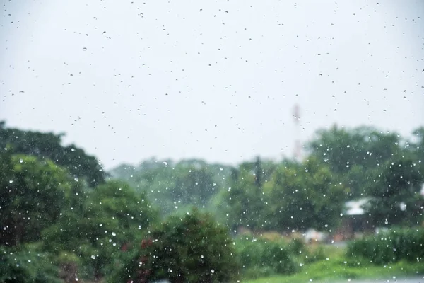 Raindrops Tropical Rainforest — Stock Photo, Image