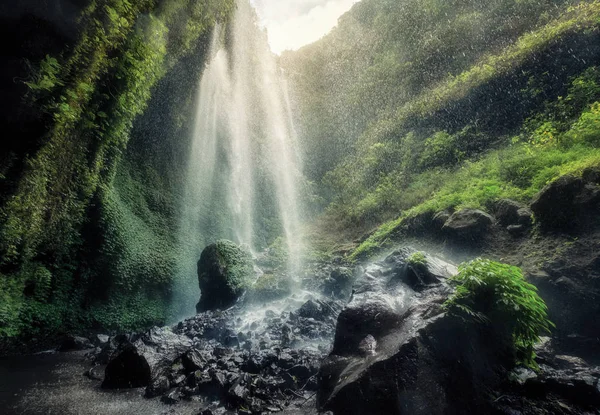 Bela Cachoeira Madakaripura Fluindo Rochoso Riacho Java Oriental Indonésia — Fotografia de Stock