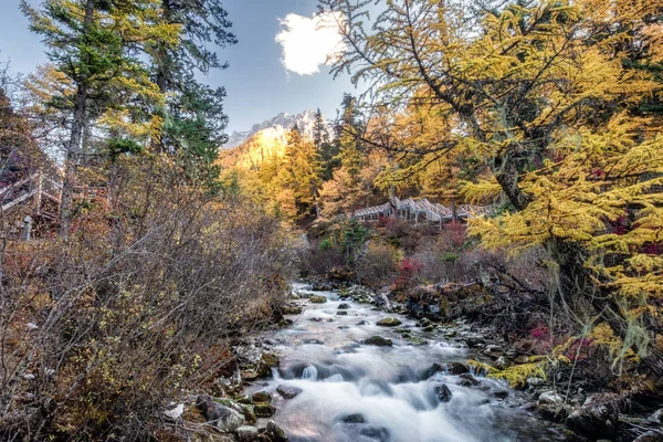 Colorida Cascada Bosque Otoño Reserva Natural Yading Daocheng China — Foto de Stock