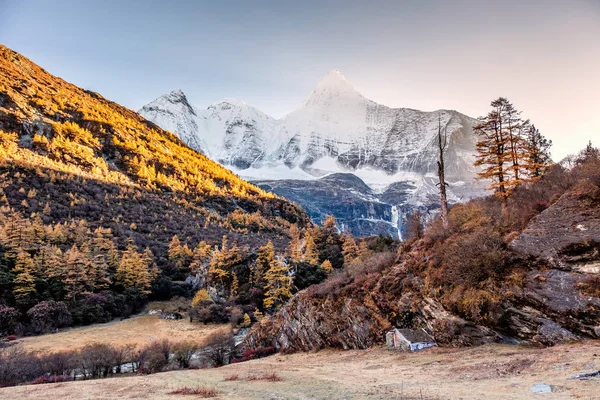 Heiliger Berg Yangmaiyong Mit Herbstlichem Kiefernwald Auf Einem Plateau Yading — Stockfoto