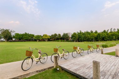Lake yakınlarında yeşil park Caddesi üzerinde Park retro satır Bisiklet