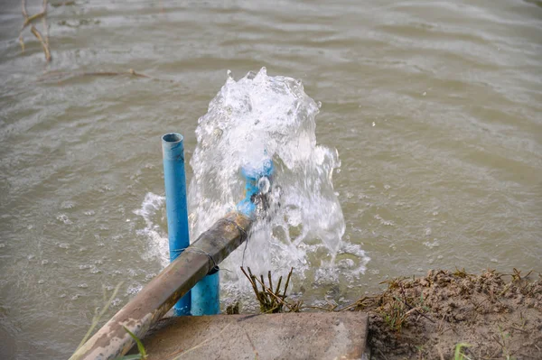 Bomba Tubo Azul Agua Corriente Cayendo Pantano — Foto de Stock