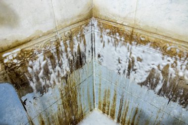 Kireç taşı ve leke kirli küvet banyo temizlik kimyasal sıvı