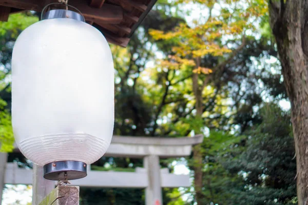 Weiße Papierlaterne Traidional Japaner Hängen Auf Dach Herbst Garten — Stockfoto