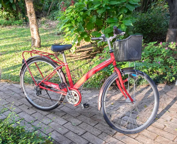 庭の経路にアンティークのかわいい赤の自転車公園 — ストック写真