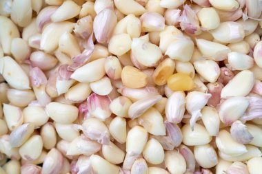 Yakın çekim taze çiğ sarımsak (Allium sativum Linn) yığın