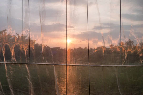Puesta de sol que brilla en la tela del invernadero —  Fotos de Stock