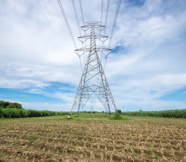 Şeker kamışı kutbunda yüksek gerilim