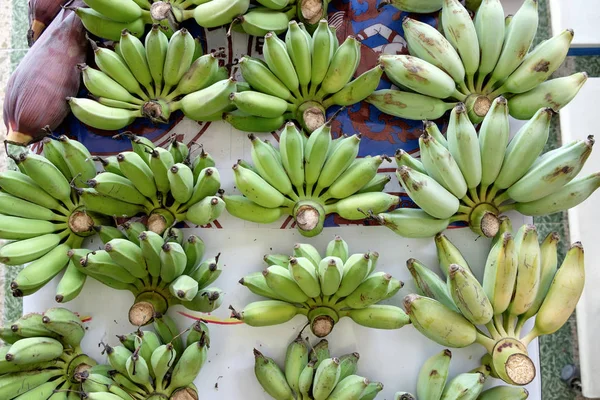 Wiele bananów niedojrzałych położyć na stole — Zdjęcie stockowe