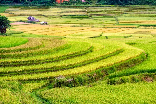 Terraços de campo de arroz com casa de campo no vale em rural — Fotografia de Stock