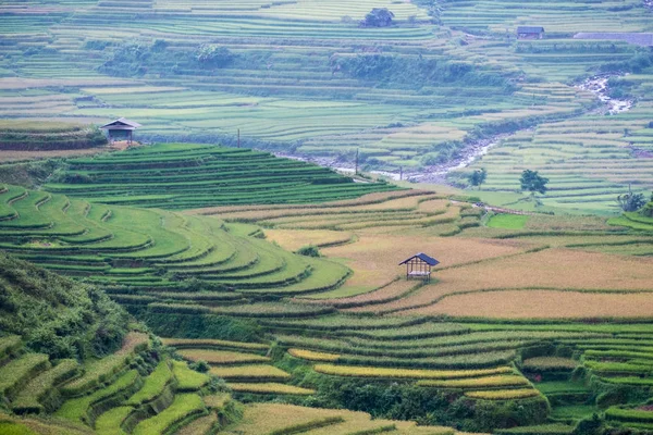 Paisagem de casa de campo de tribo no campo de arroz — Fotografia de Stock