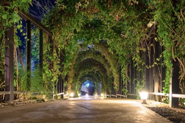 Tünel kemer yolu Bahçe aydınlatmak