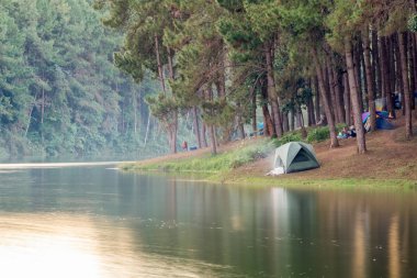Bakış açısı turist evenin, rezervuar üzerinde çam ormanda kamp