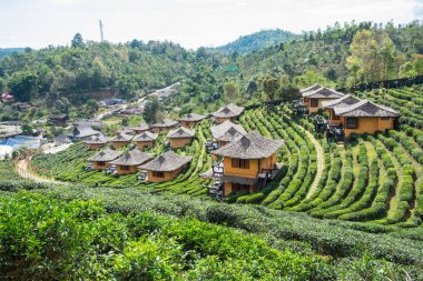 Bakış açısı resort dünya evde çay plantasyon lee şarap yasak r