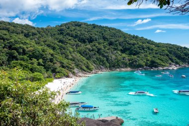 Fantastik turkuaz defne deniz sürat yelken ile