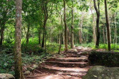 Huai yang Milli Parkı içinde tropikal yağmur ormanları