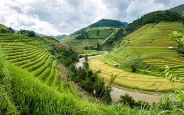 Pirinç alan teraslı ve nehir de Mu Cang Chai görünümü