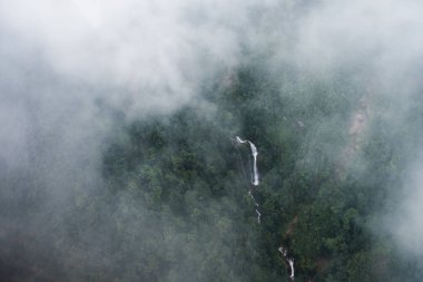 Şelale Milli Parkı, derin orman içinde yukarıda görünümü
