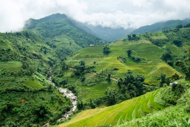 Pirinç alan Teras nehir Vadisi ile