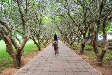 Plumeria ağacında yolu üzerinde yürüyen genç kadın