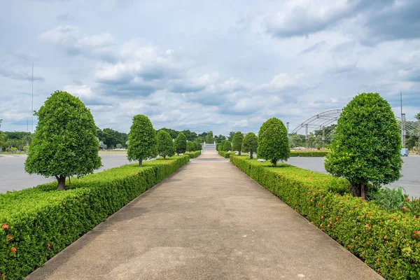 Camino recto jardín ornamental ordenado — Foto de Stock