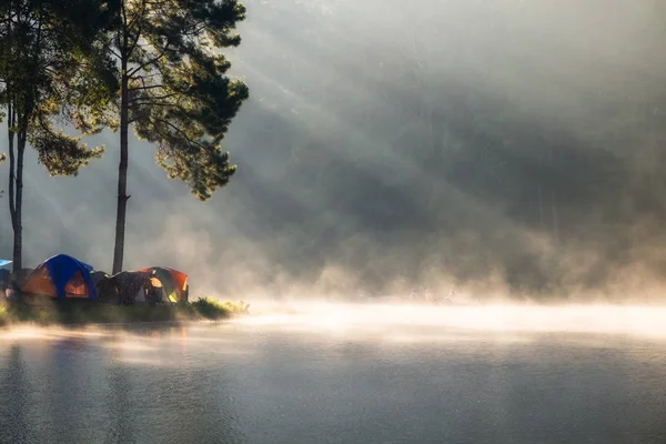Mirador bosque de pinos la luz del sol brilla en el embalse de niebla en la mañana — Foto de Stock