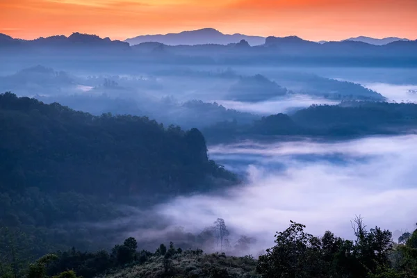 Paysage pittoresque dans la vallée brumeuse à l'aube — Photo