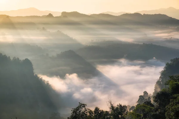 Festői táj napfény ragyogjon a ködös hill — Stock Fotó