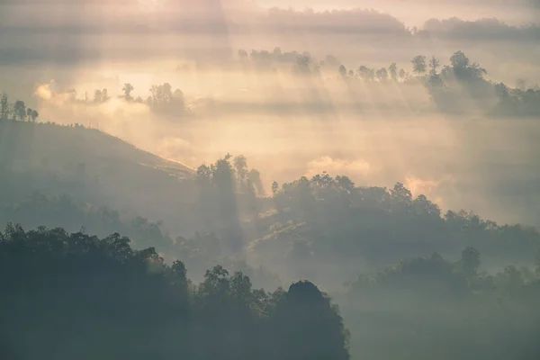 Rayon de soleil à travers la colline de brouillard — Photo