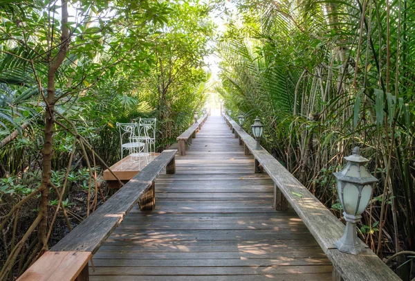Wooden pathway in tropical shade garden — Stock Photo, Image