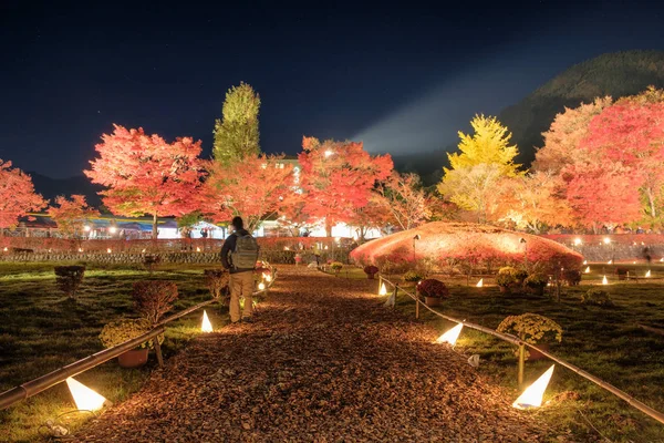 Beautiful corridor illuminated in Maple garden, Traditional fest — Stock Photo, Image