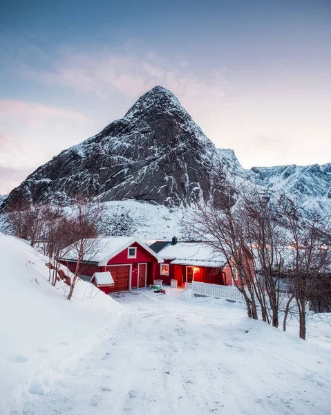 Rode huis met droge boom in berg op winter — Stockfoto