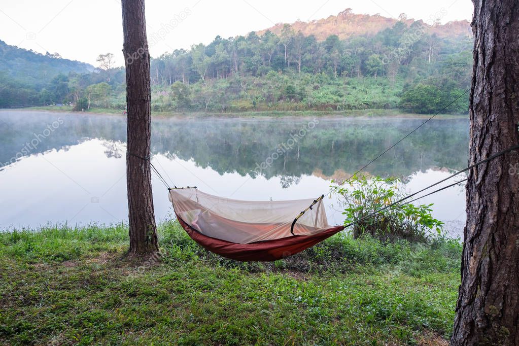 Hammock tied to tree on reservoir