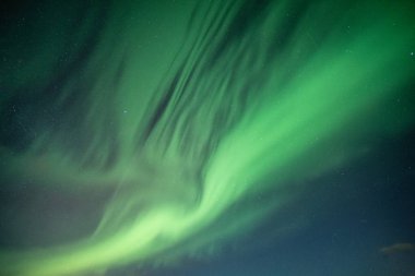 Güzel Kuzey ışıkları, Aurora borealis gece gökyüzünde dans