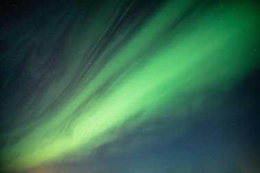 Güzel Kuzey ışıkları, Aurora borealis gece gökyüzünde dans
