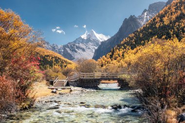 Kutsal Chana Dorje dağ ile sonbahar çam ön plana ahşap köprü