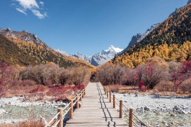 Valley Yading, ahşap yolu ile renkli sonbahar orman