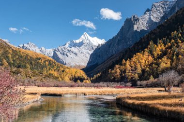 Renkli çam ormanının ile son Shangri-La Chana Dorje dağ