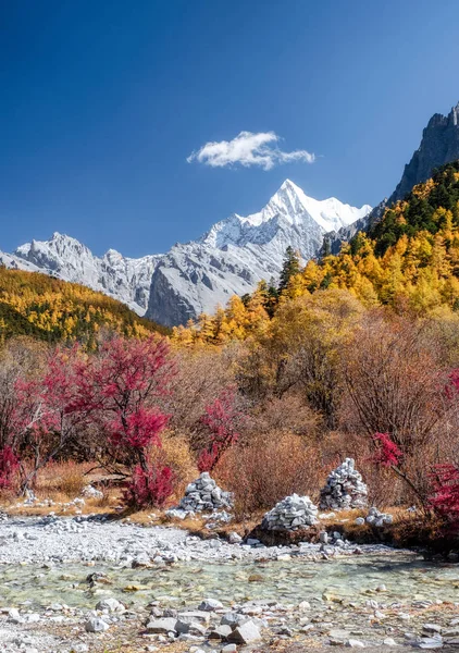 O último Shangri-La com Chana Dorje montanha no pinho de outono para — Fotografia de Stock