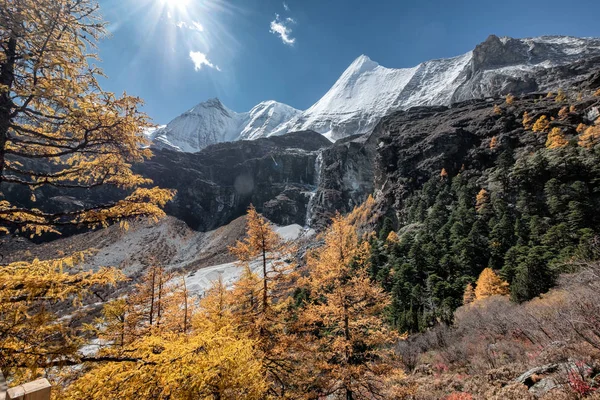 Kutsal dağ Yangmaiyong Yading sonbahar çam ormanı ile — Stok fotoğraf