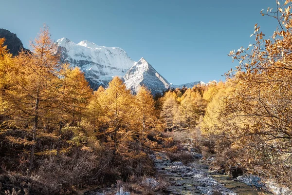 Montanha de Xiannairi com pinhal de outono — Fotografia de Stock