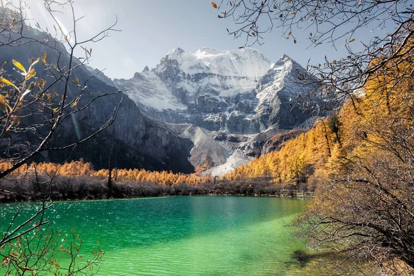 Xiannairi berg am smaragdgrünen see mit goldenen kiefernwald in au — Stockfoto
