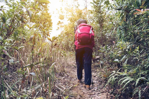 Caminhante jovem caminhando para o pico da montanha na floresta tropical — Fotografia de Stock