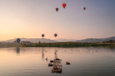 Sıcak hava balonları tepe üzerinde uçan havuzda kuğular sürüsü