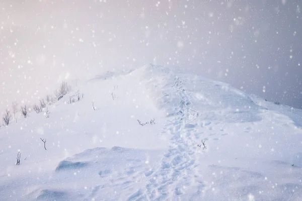 Χιονισμένο βουνό κορυφή με τα ίχνη — Φωτογραφία Αρχείου