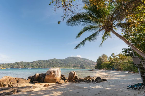 Kokosová palma s kameny na pláži v tropickém moři — Stock fotografie